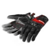 DUCATI GANTS SUMMER 2