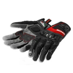 DUCATI GANTS SUMMER 2