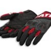 GANTS DUCATI SUMMER C3